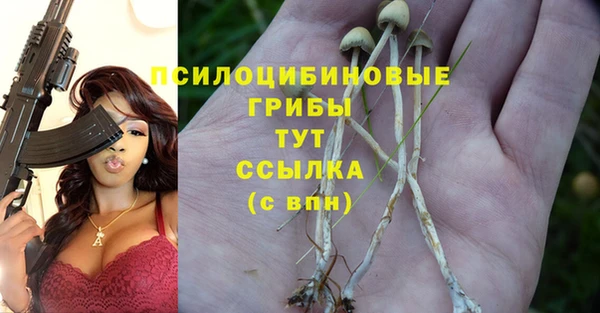 ПСИЛОЦИБИНОВЫЕ ГРИБЫ Чита