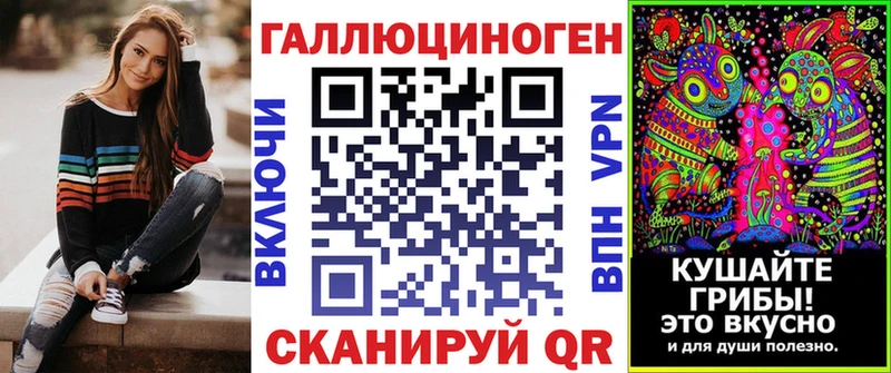 как найти закладки Нелидово Псилоцибиновые грибы Psilocybe